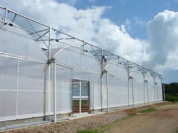 即墨連棟溫室大棚