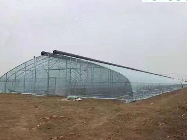 南寧橢圓管大棚