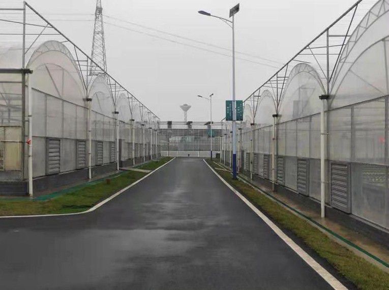 即墨連棟溫室大棚