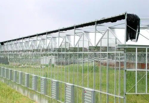 即墨連棟溫室大棚