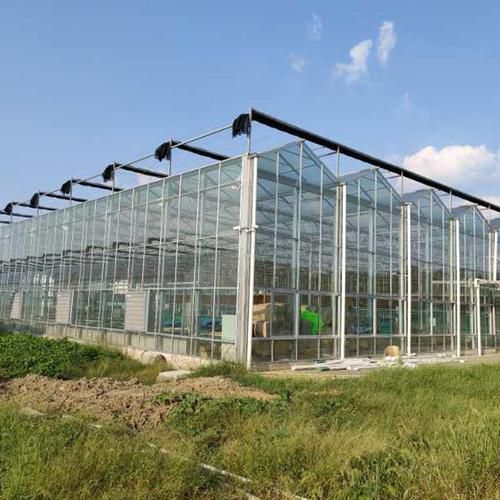 即墨連棟溫室大棚