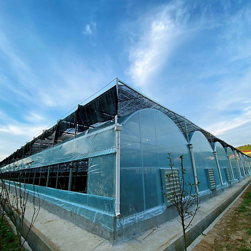 小店外遮陽(yáng)大棚