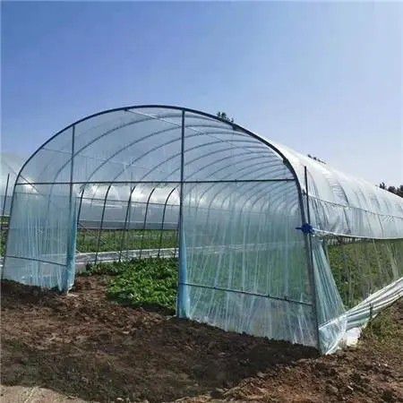 南寧橢圓管大棚